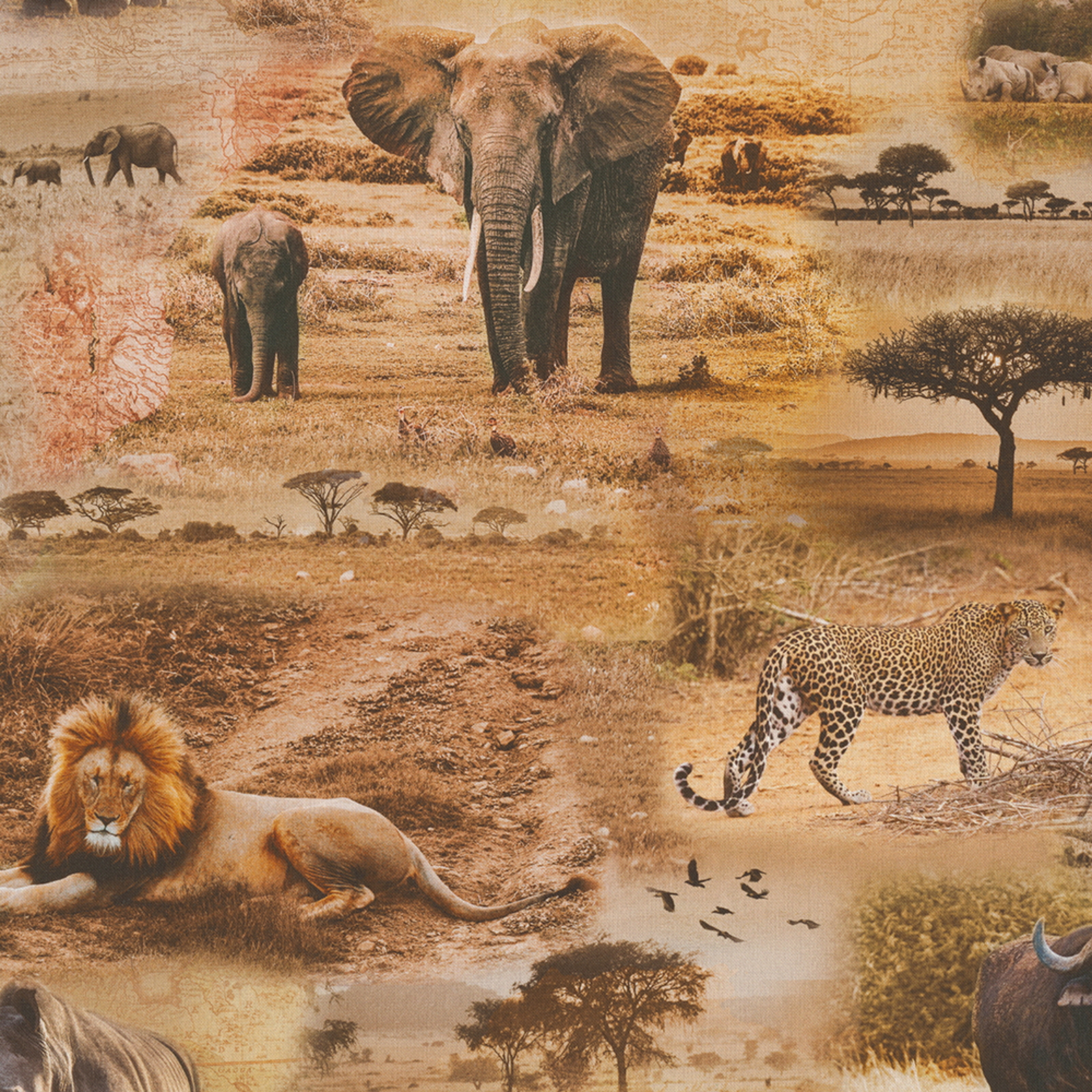 Stoff Meterware Afrika Safari Tiere Elefant Löwe Nashorn