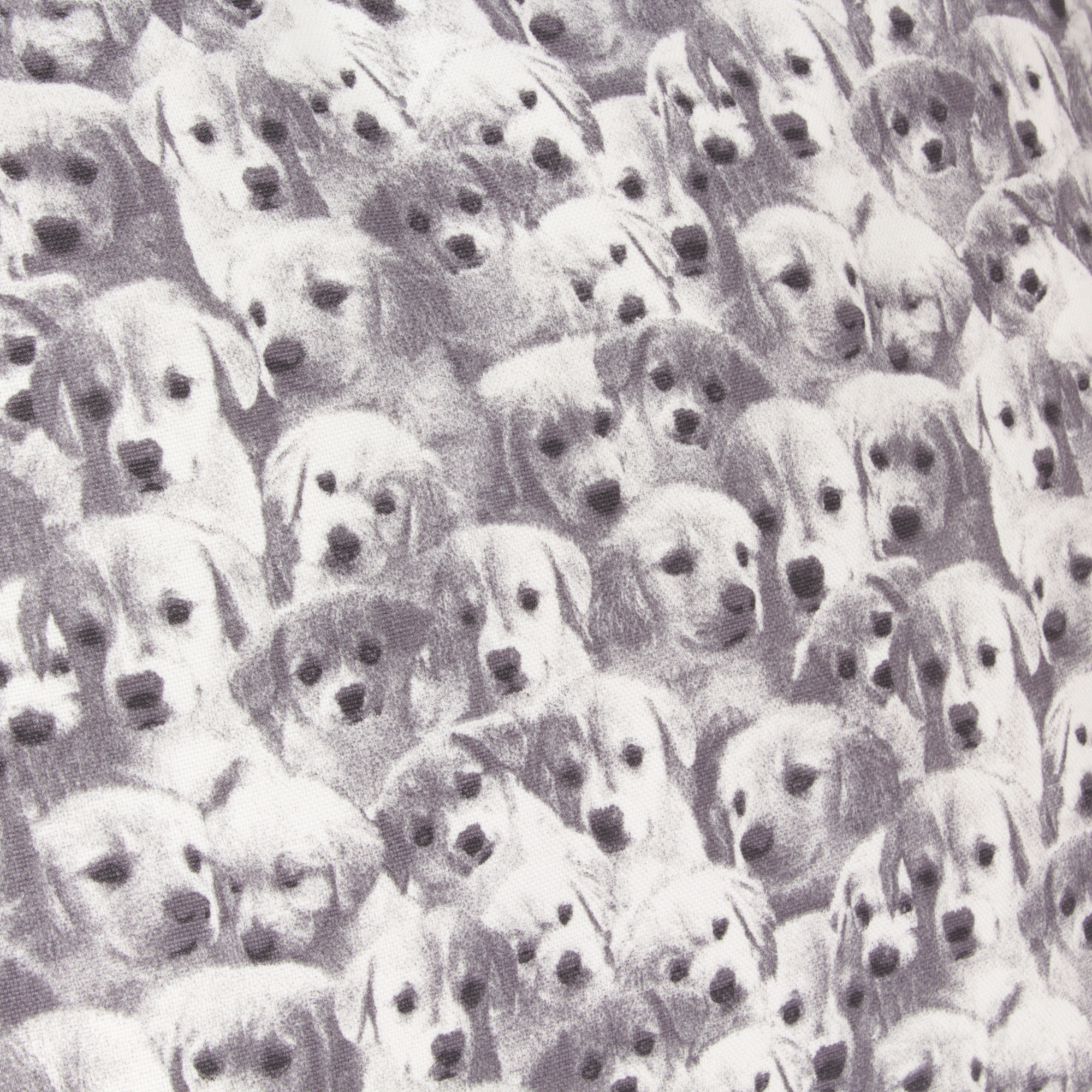 Kissenbezug 40x40 cm Süße Hunde Labrador