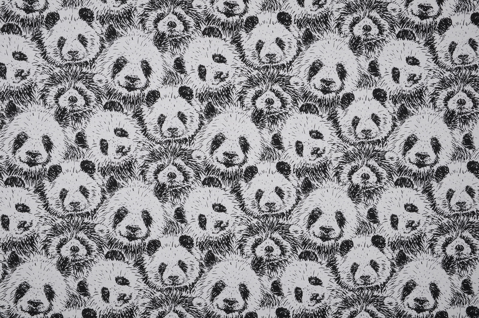 Stoff Meterware Panda Köpfe Baumwolle
