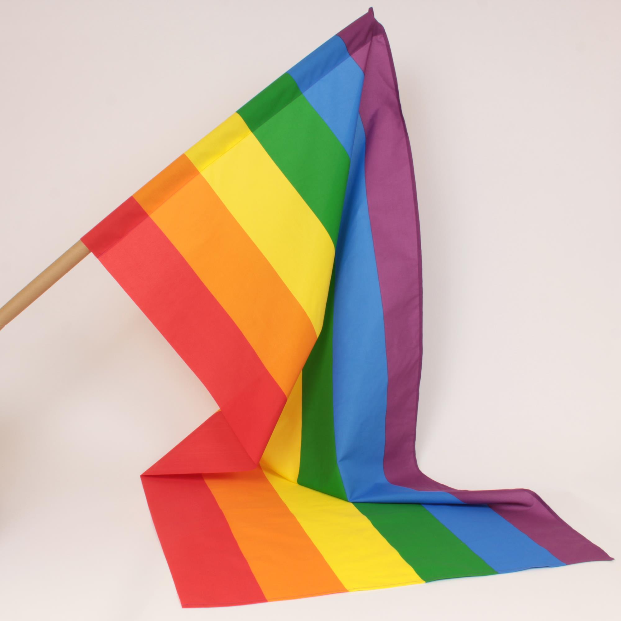 Stoff Meterware Regenbogenfarben Flagge Pride 80 cm