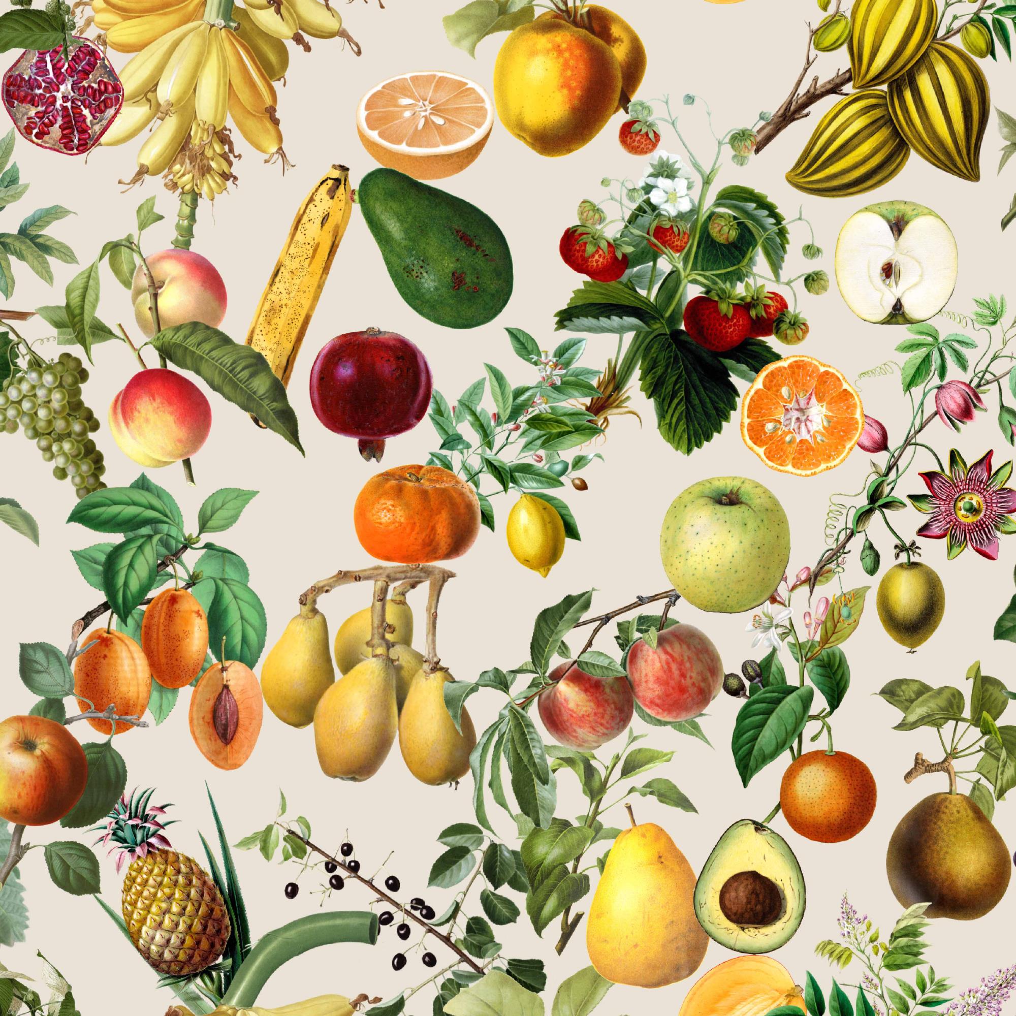 Stoff Meterware Tropische Früchte auf Ecru Canvas