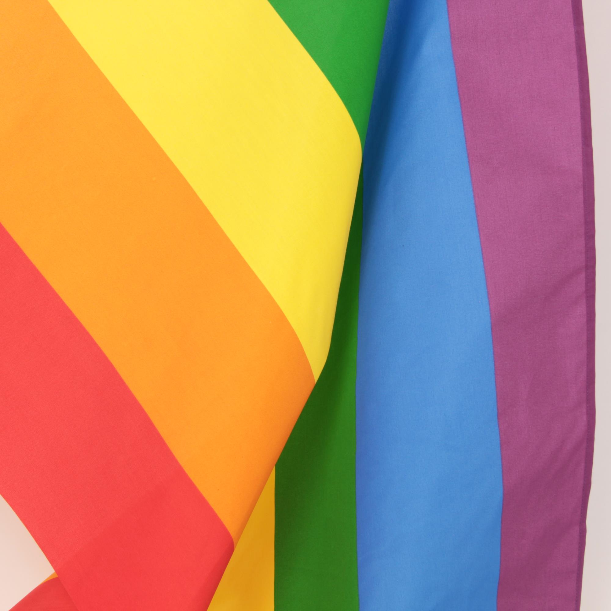 Stoff Meterware Regenbogenfarben Flagge Pride 80 cm